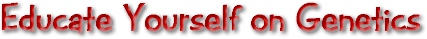 educateyourself.gif (11711 bytes)